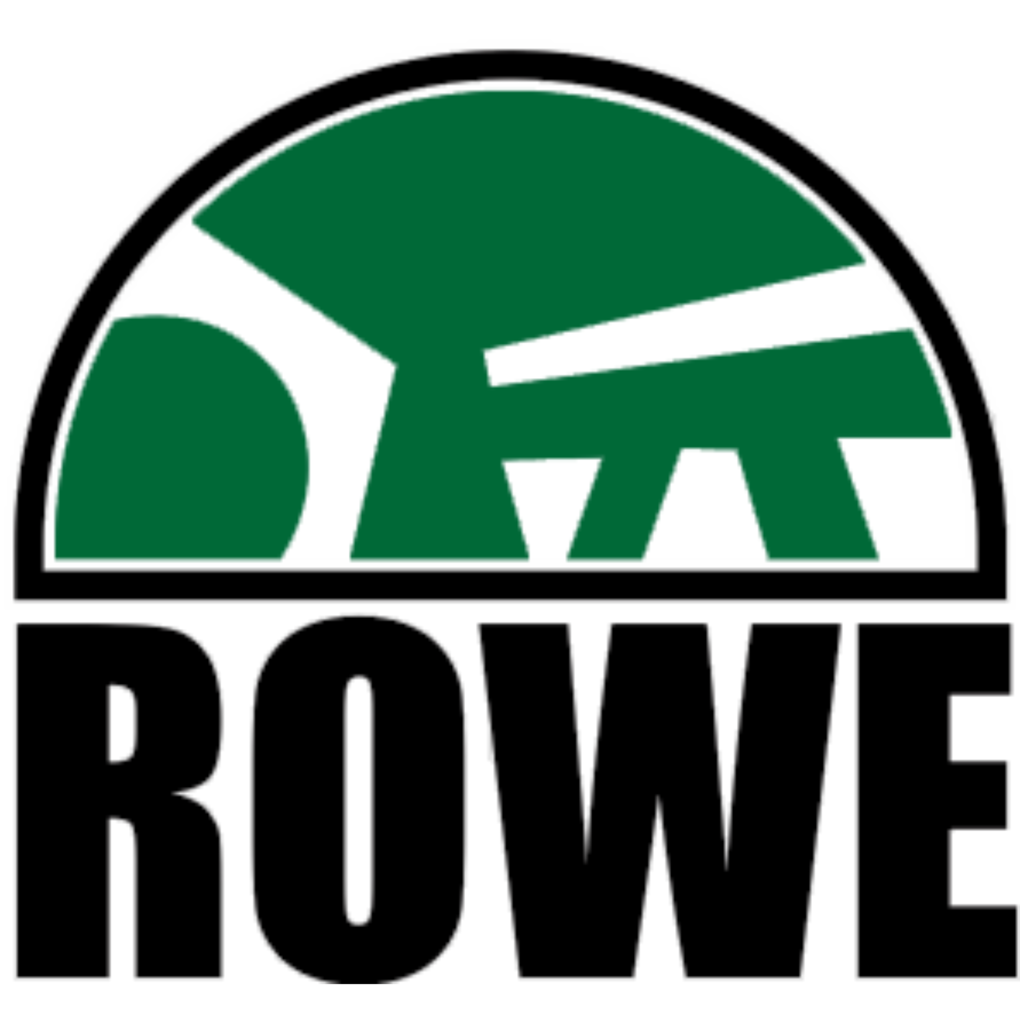 ROWE Professional Services